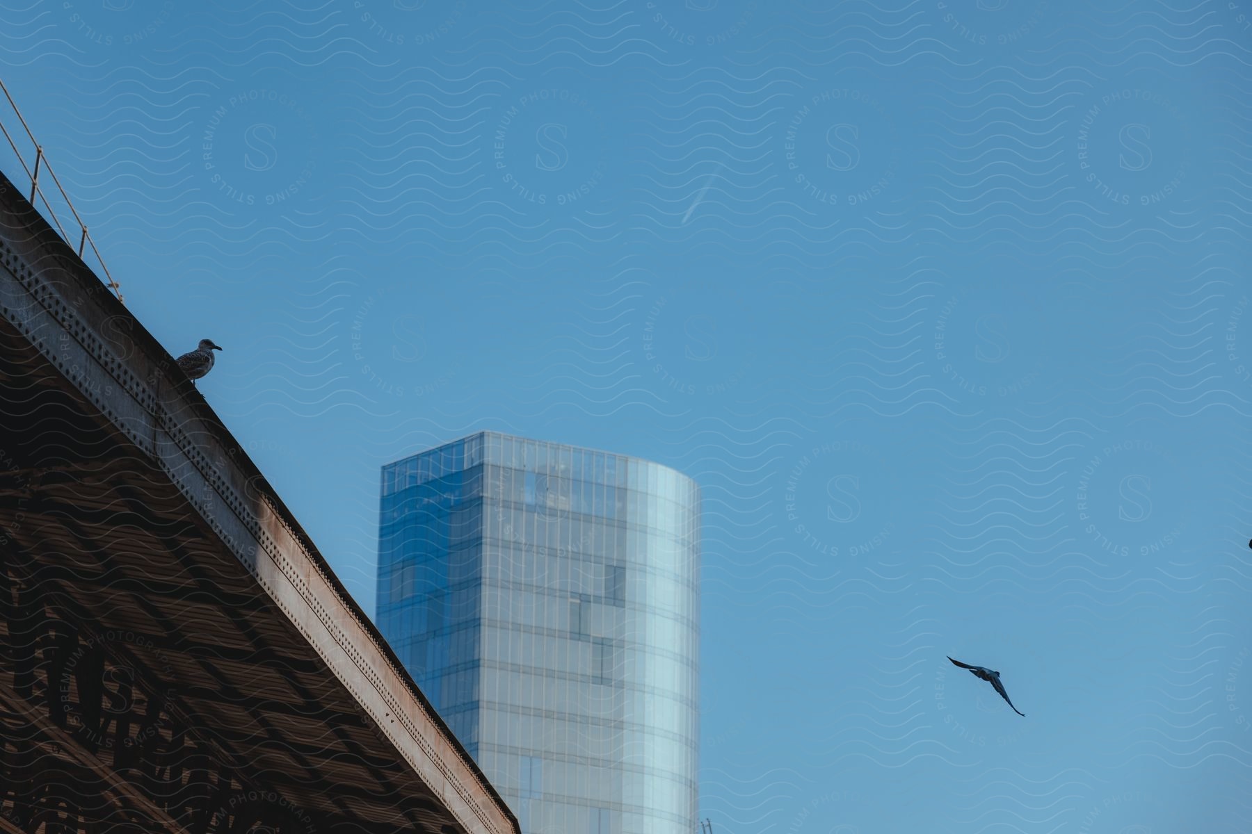 A scene with a light blue sky in the background. On the left, part of a metal bridge with a bird perched on it. In the background, a modern glass building reflects the blue sky.