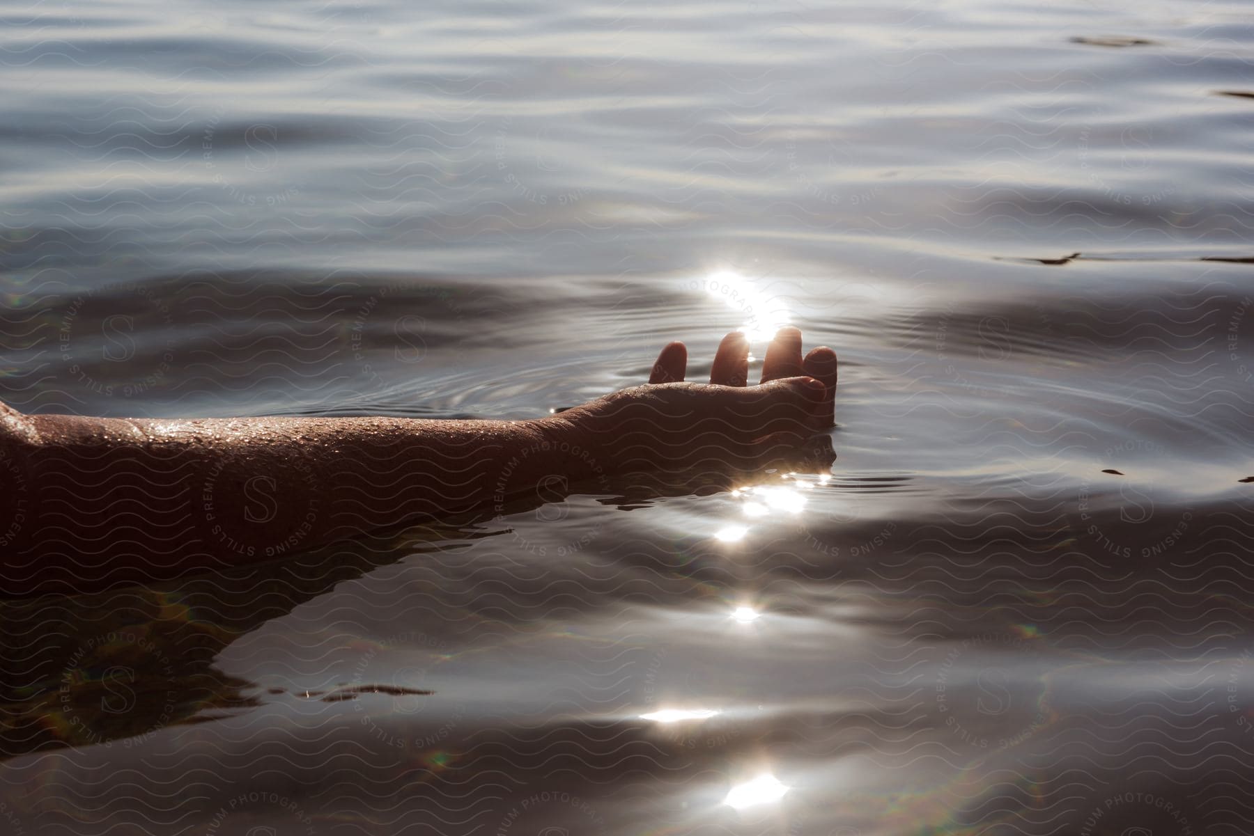 A person's arms floating on the surface of water