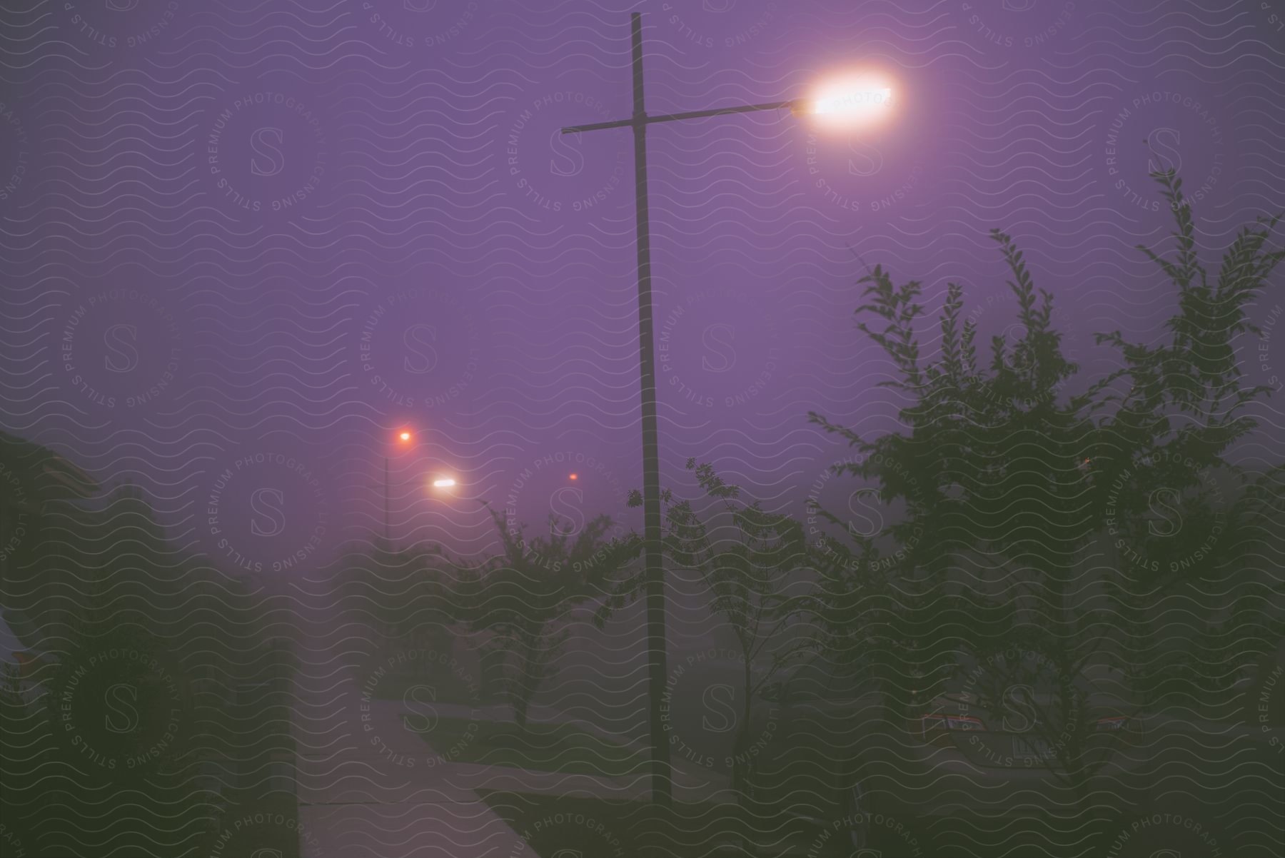 Sidewalk with trees and bushes in a residential neighborhood by lighting compounds turned on at night and a parked car on a foggy day.