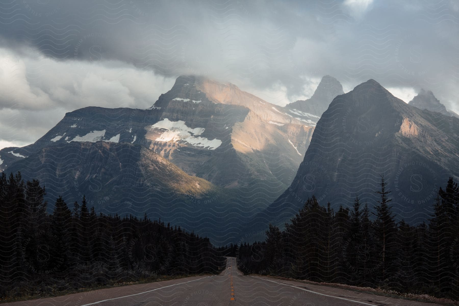 An asphalt road with pine trees on the sides and in the background there is a huge mountain with a snow-covered peak