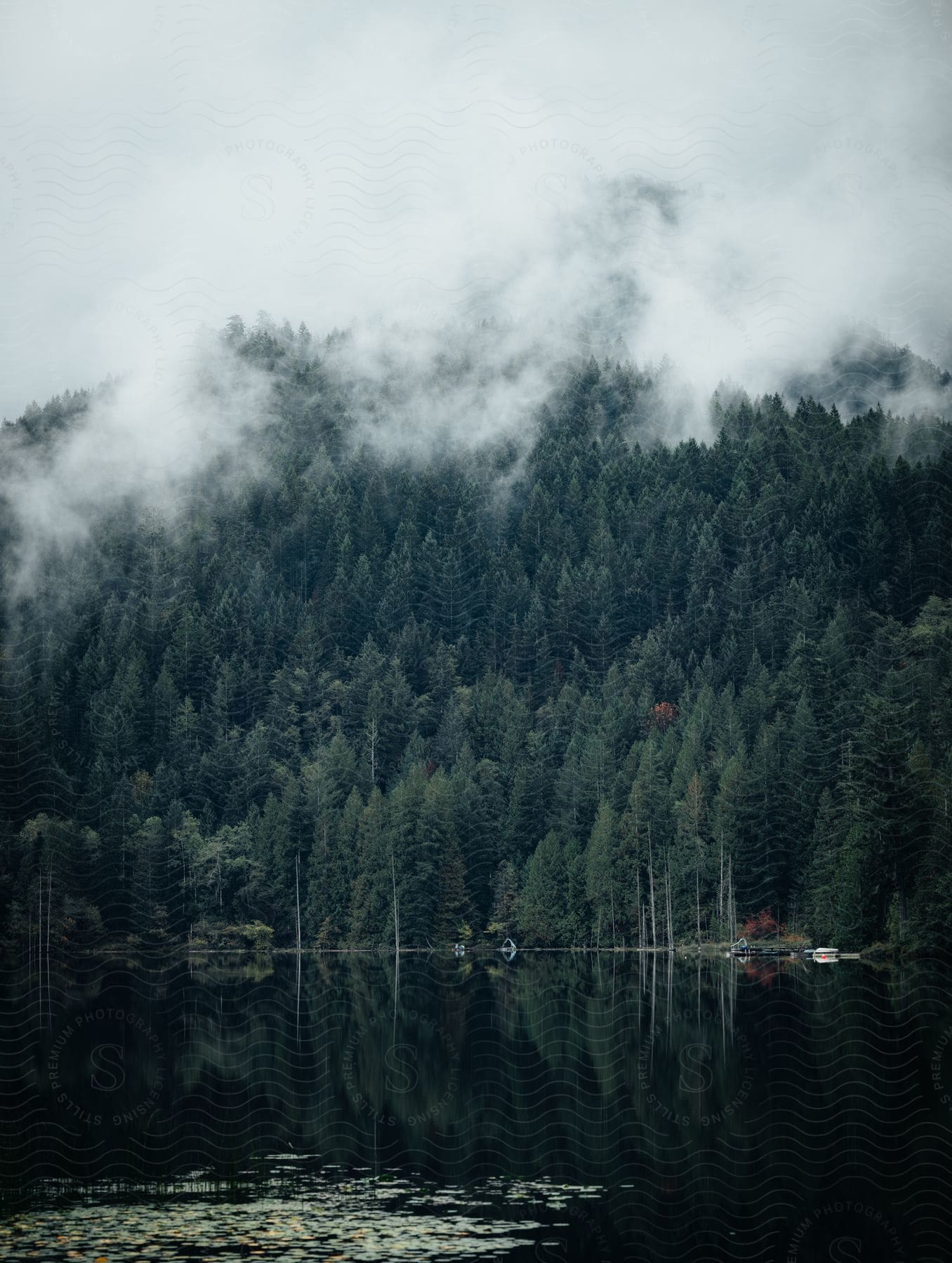 Fog rolling over a dense forest of evergreen trees, with a lake reflecting the trees and a small boat docked on the right.