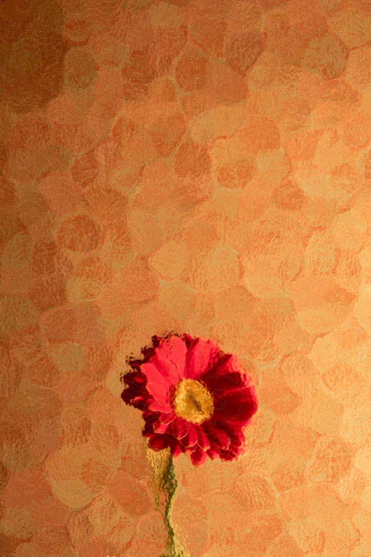 Window with abstract patterns and a pink flower with a yellowish core