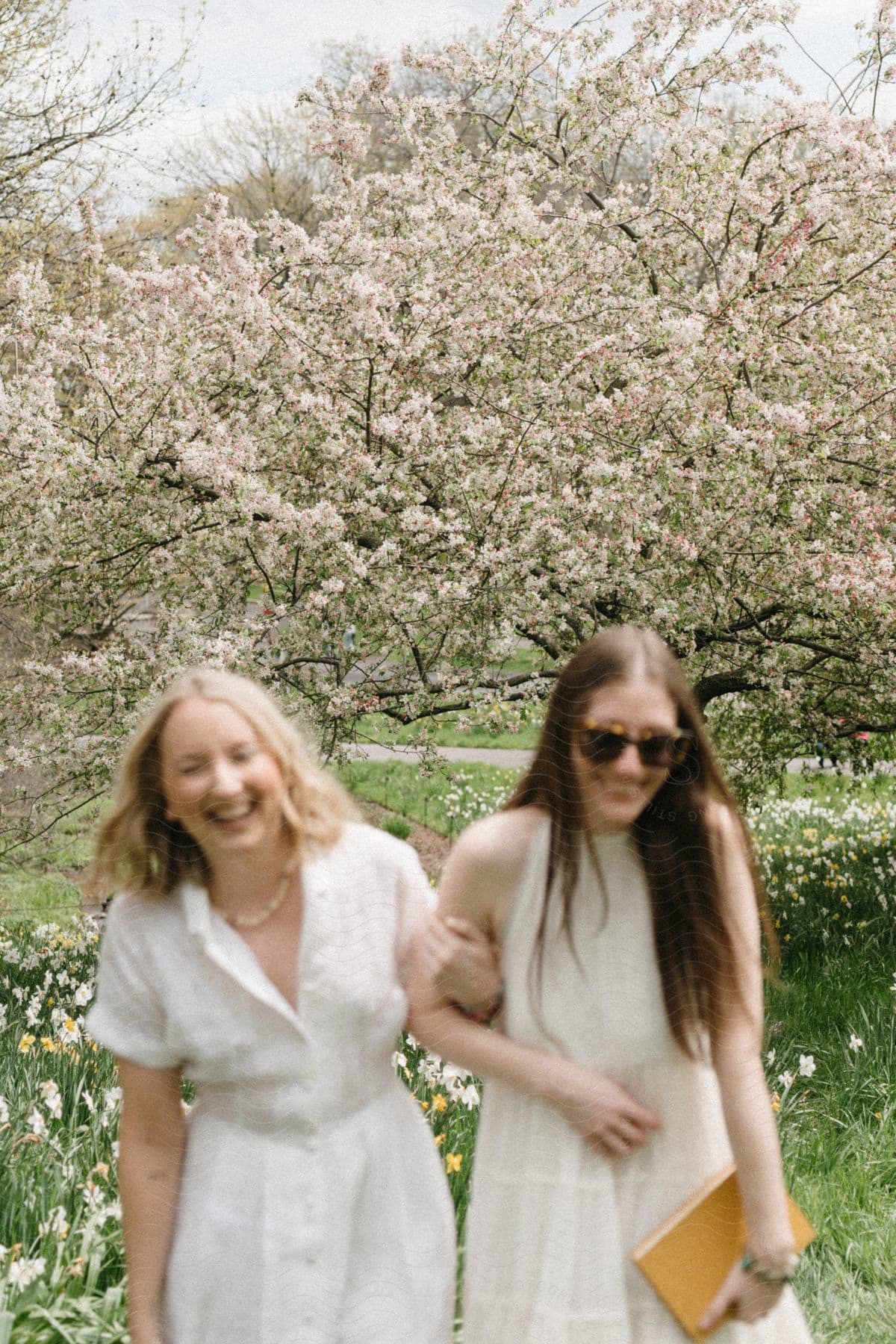 Two young women are laughing while standing in grove of trees during springtime.