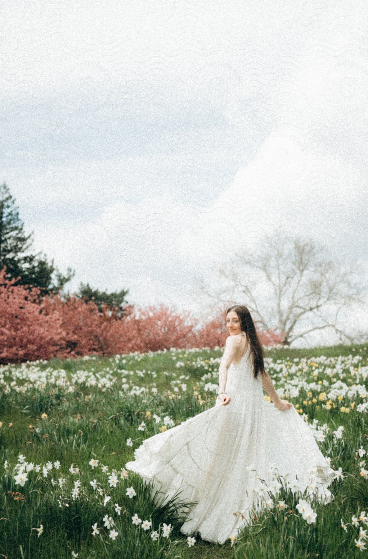 Young woman wearing a long white gown stands in a field with flowers and flowering cherry trees in the distance