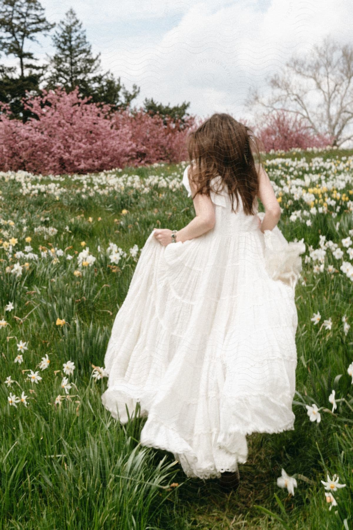 A woman in a flowing white dress, her laughter echoing through a sea of white daisies, races towards a distant horizon painted with pink blossoms.