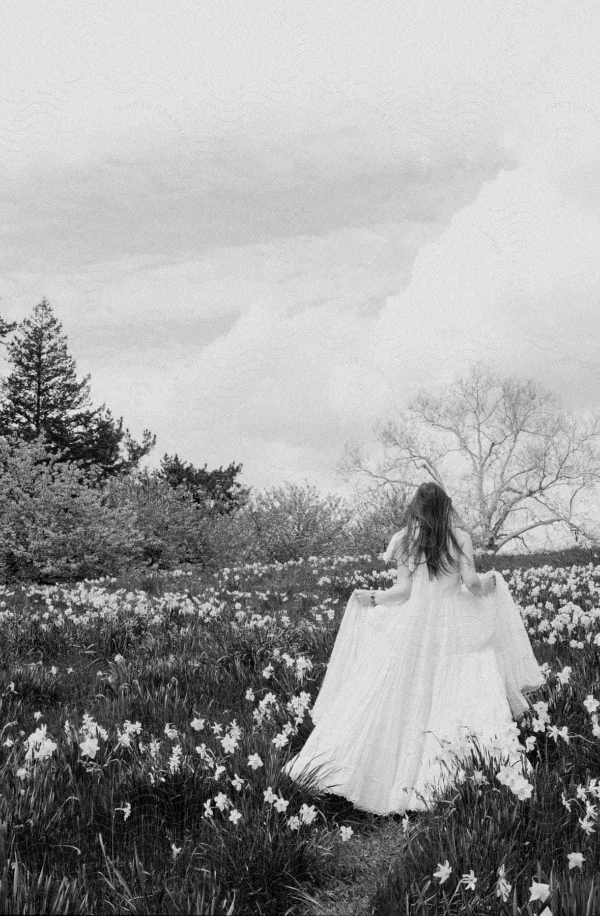Woman from behind wearing a long dress and walking through a flower field.