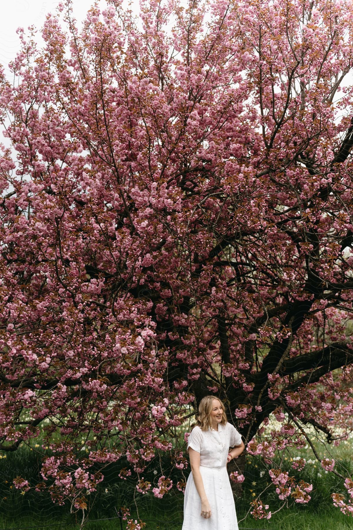 a happy blonde woman wearing a white dress standing in front of a pink tree in a green field.