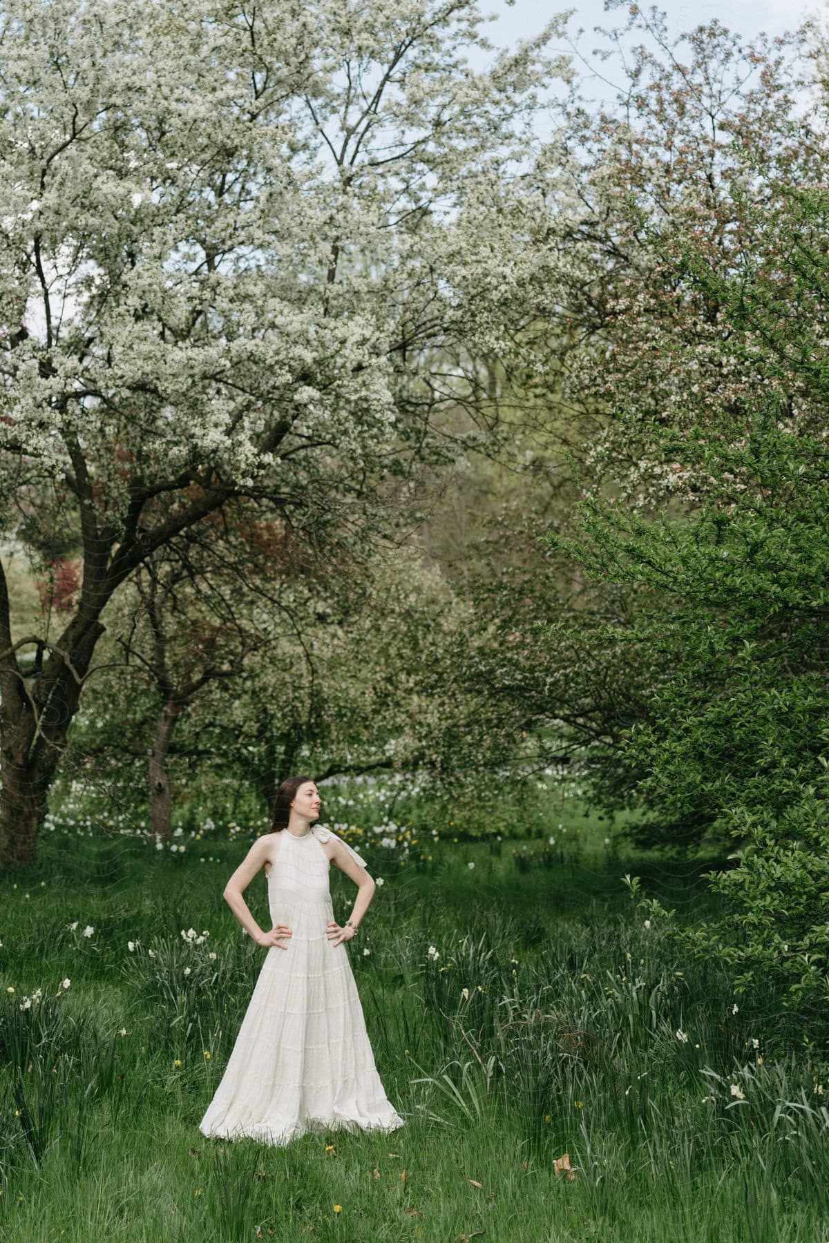 A woman wearing a white dress poses in front of large trees in Spring