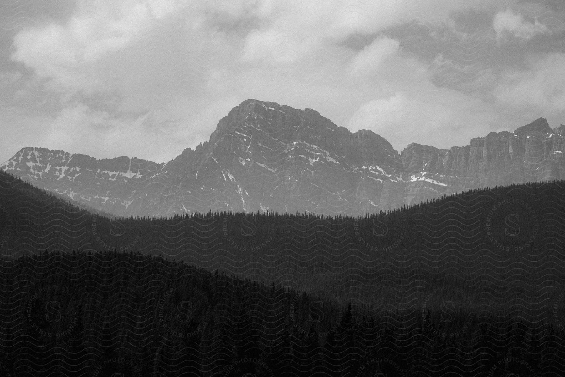 A mountain in the wilderness, with tall trees in the foreground.