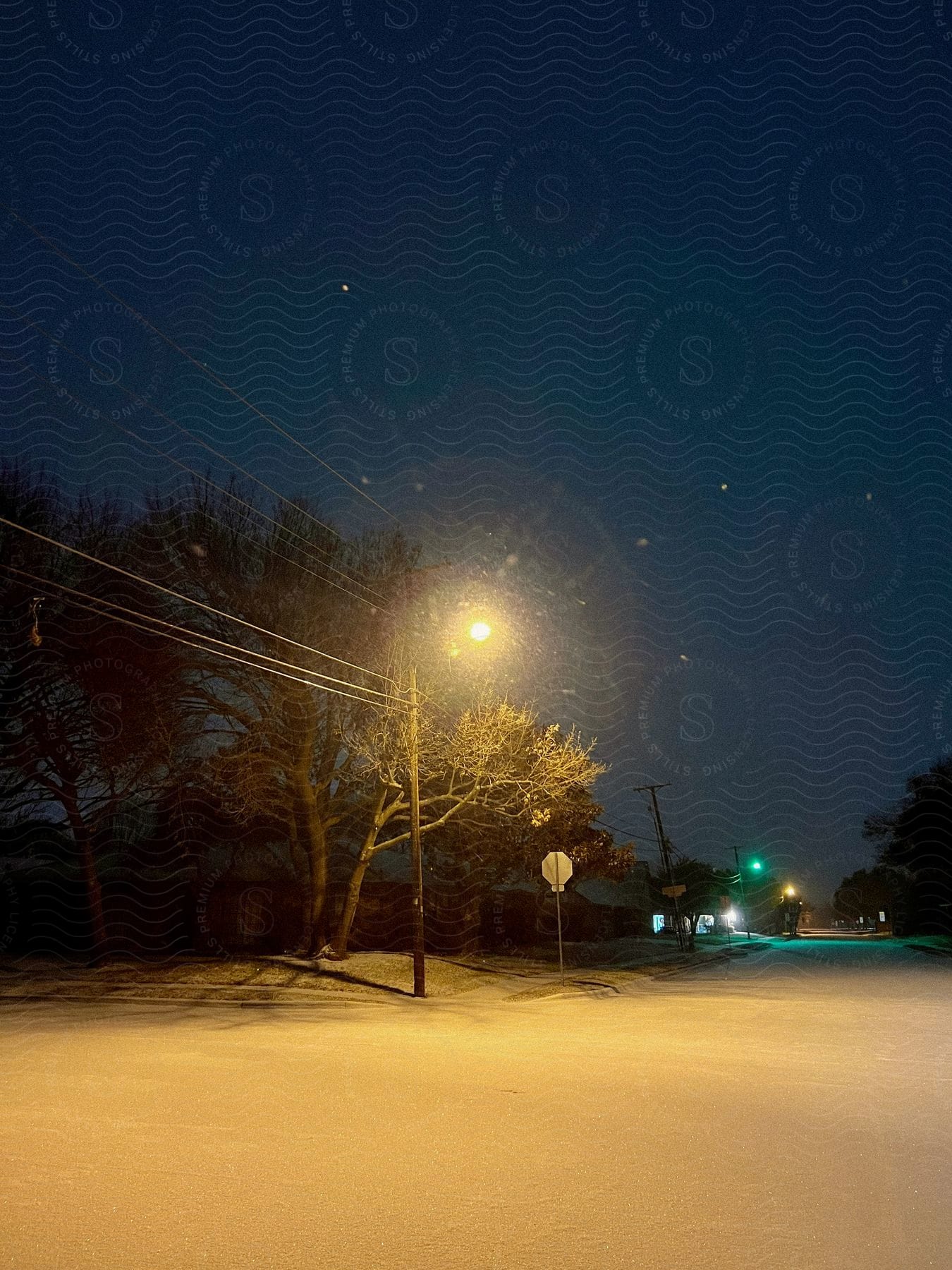 A street light shining on the side of the road from a utility pole near a tree during the night.