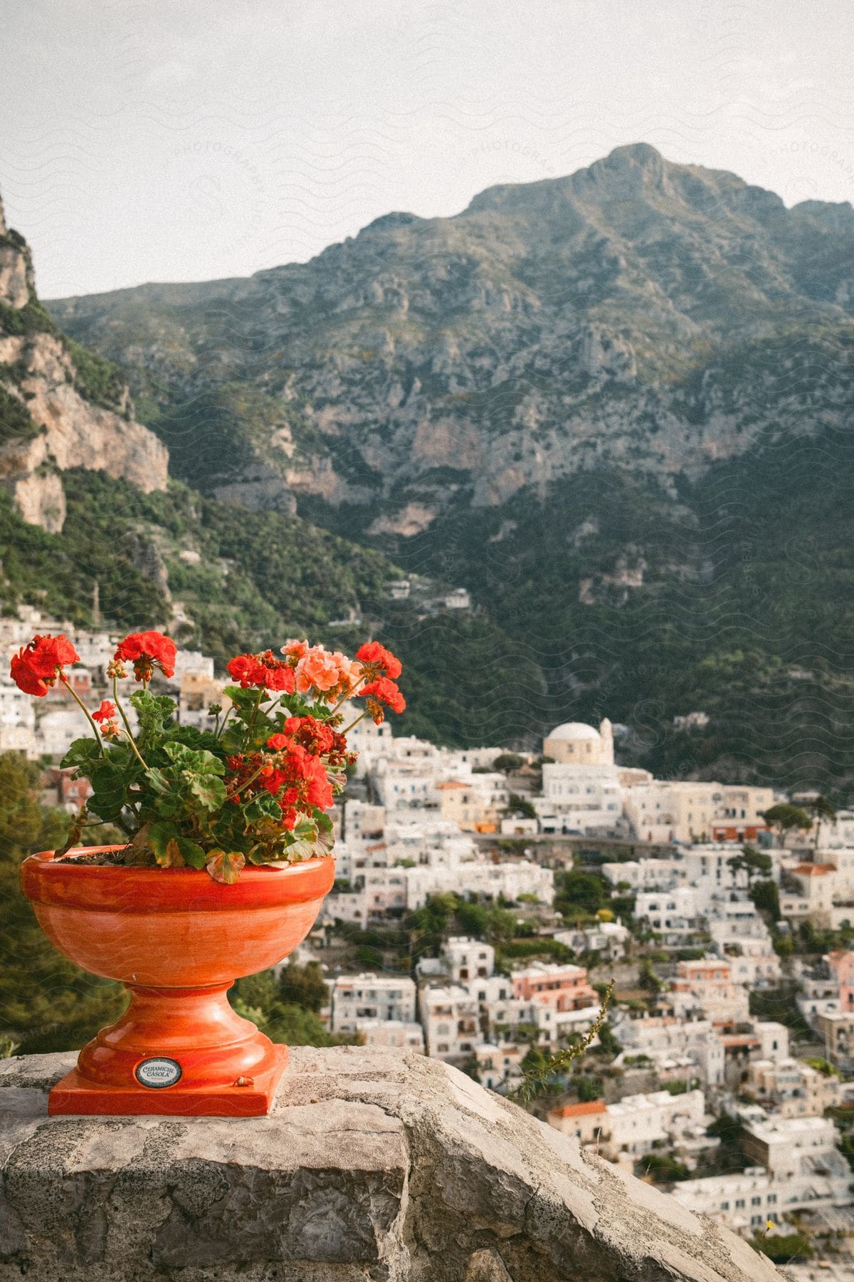 Red flowers in a terracotta pot on a stone wall, with a hillside town and mountains in the background.