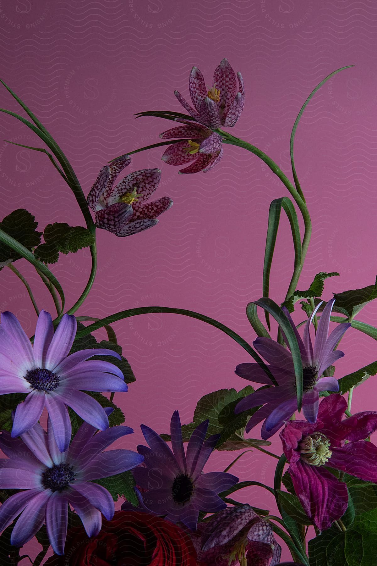 Flowers in floral arrangement and the reddish background contrast with plant greenery.