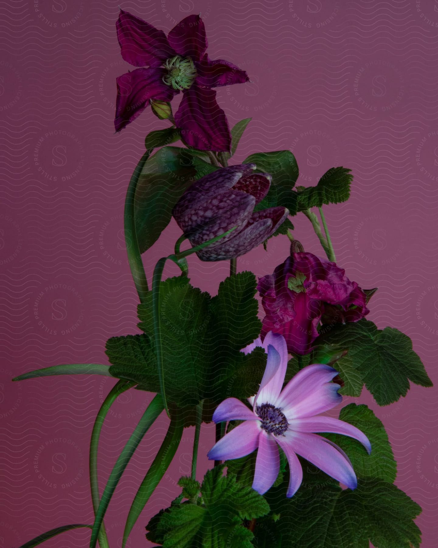 A bouquet of dark and light pink flowers with green leafy stems.