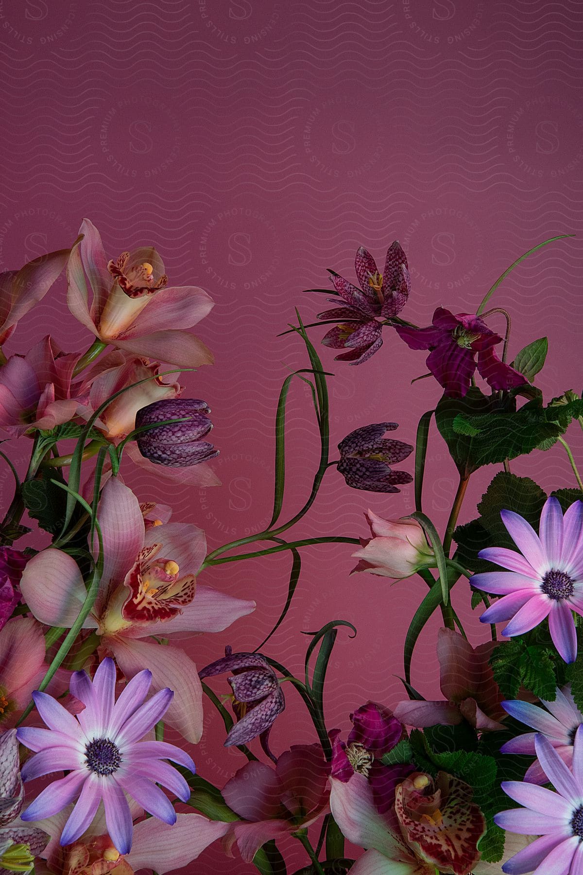 a bunch of colorful flowers, including pink and purple roses, standing against a pink background.