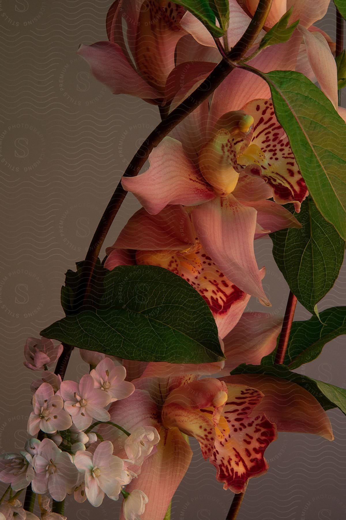 Close-up of a bouquet of coral and light pink flowers.