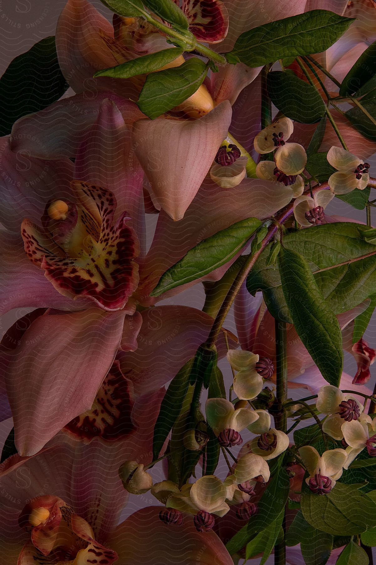 Variety of flowers and leaves with emphasis on pink orchids.