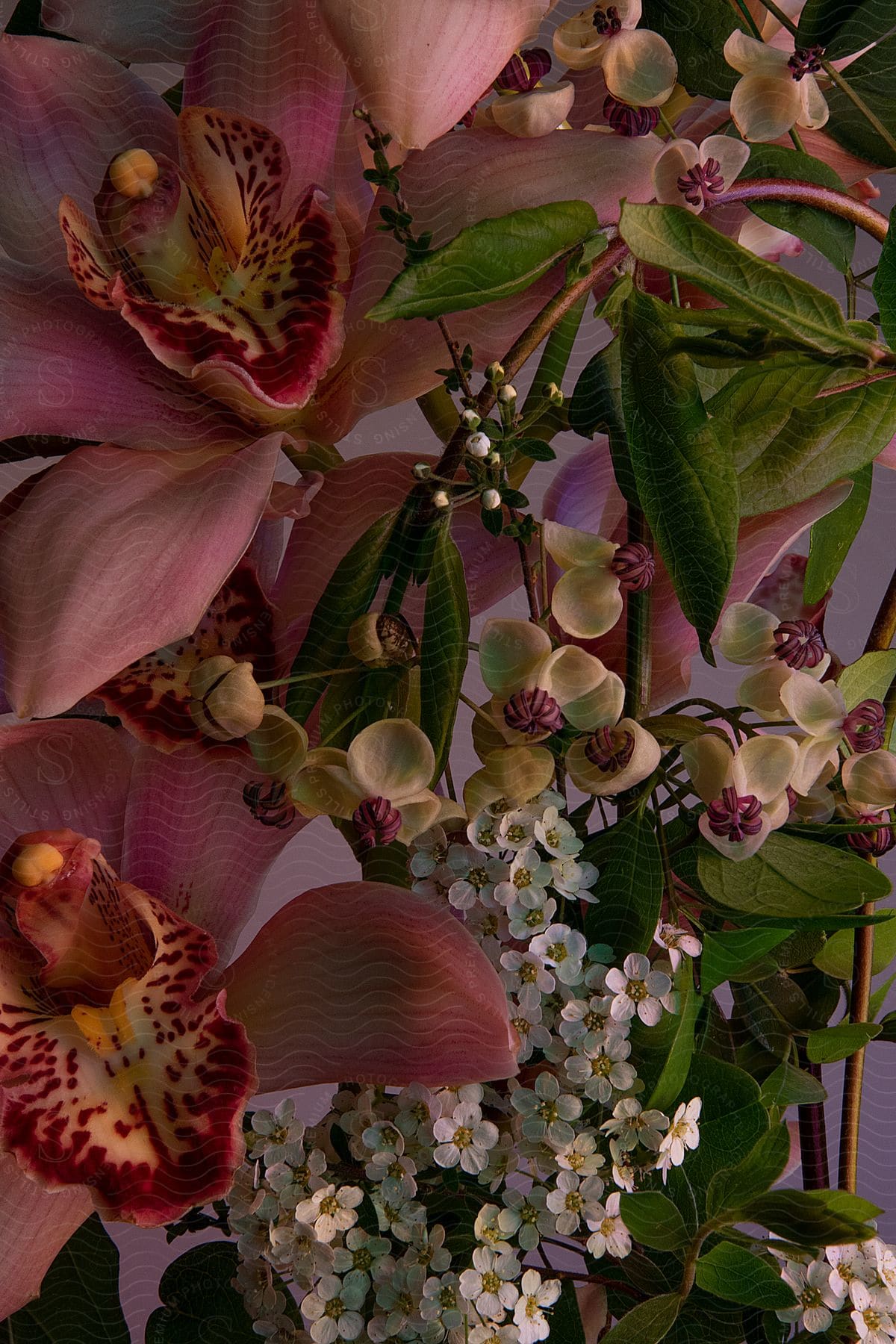 Orchid floral arrangement with green foliage