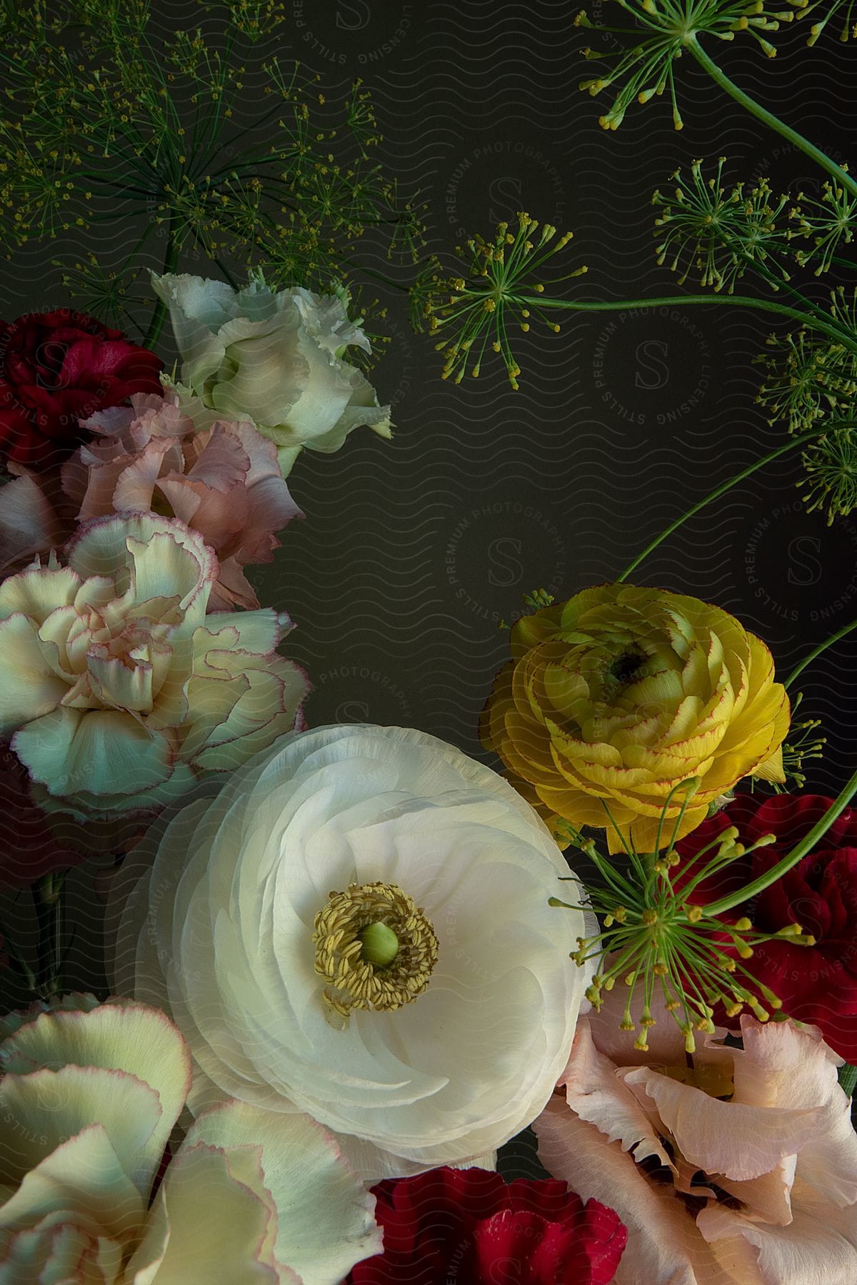 An arrangement of flowers with varied colors and textures, set against a dark background, creating an aesthetically pleasing and vibrant composition.