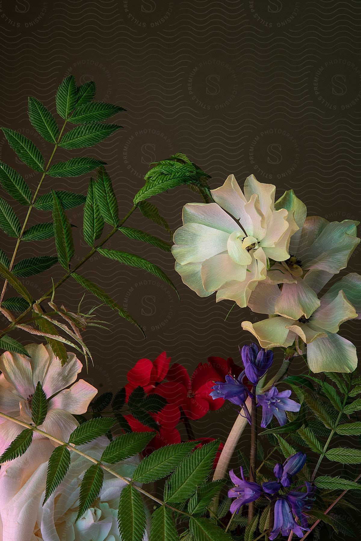 Arrangement of various species of flowers and leaves with thin stems against a dark background.