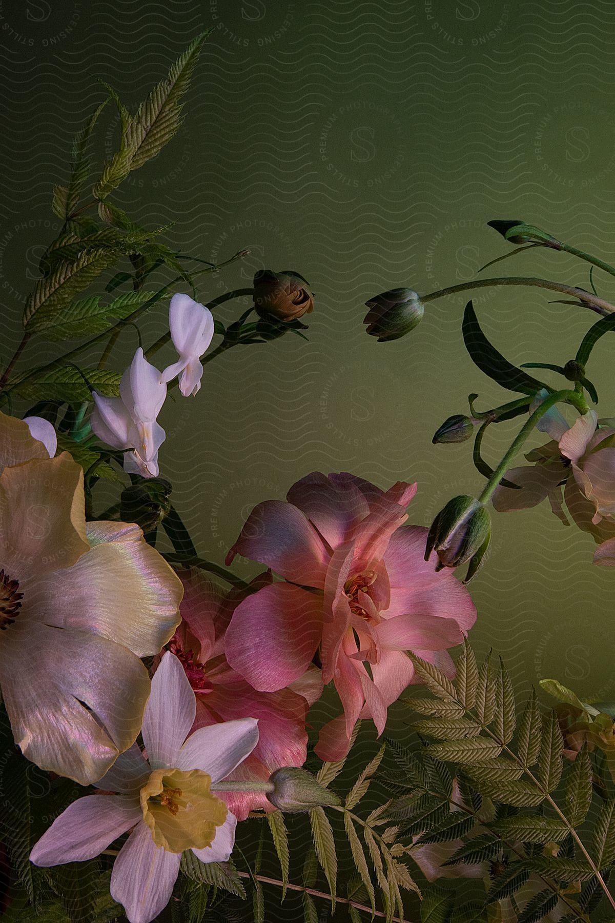 a bouquet of pink garden roses and camellia flowers against a green background.