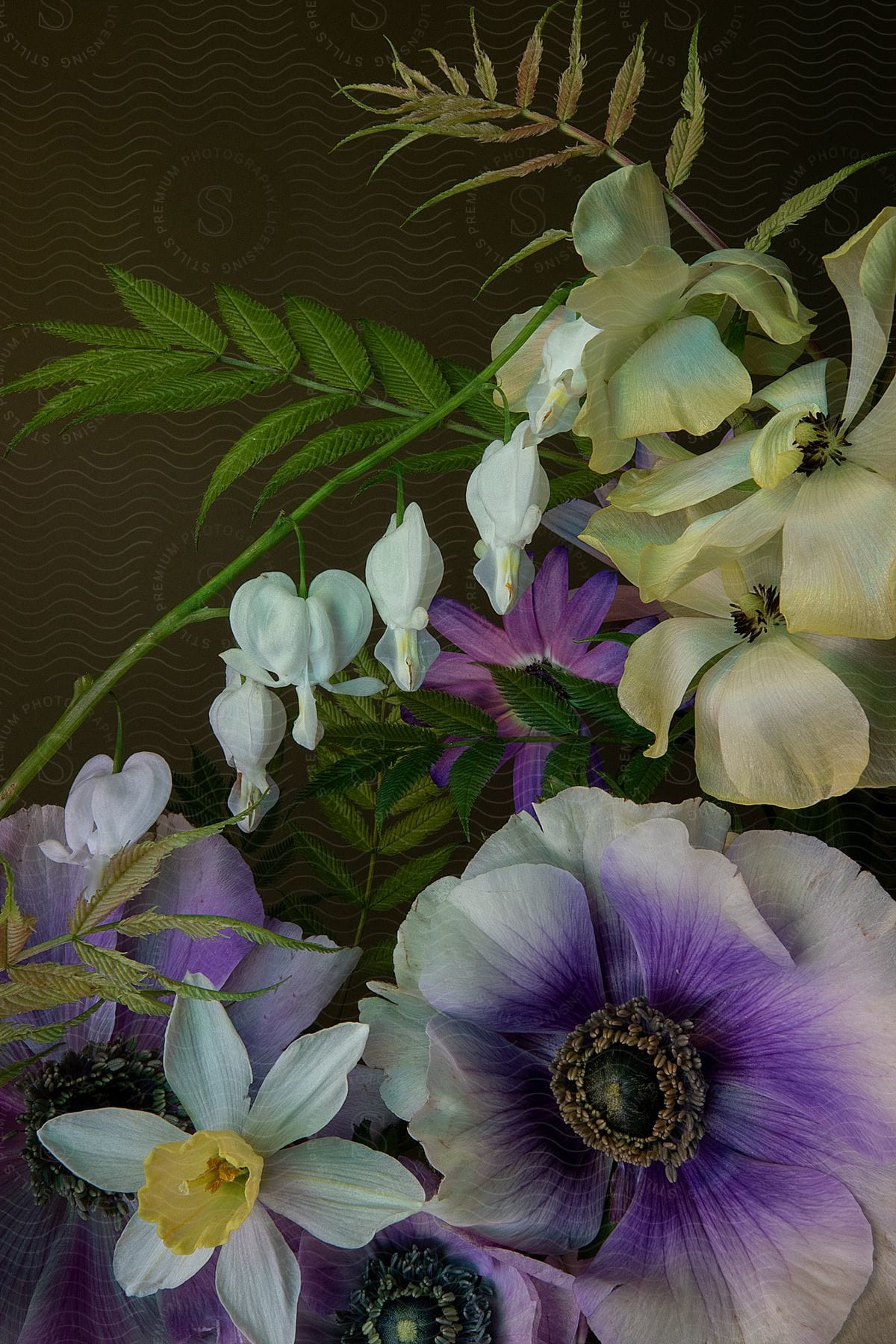 Colorful flowers and leaves with white, purple and yellow petals, on a neutral background.