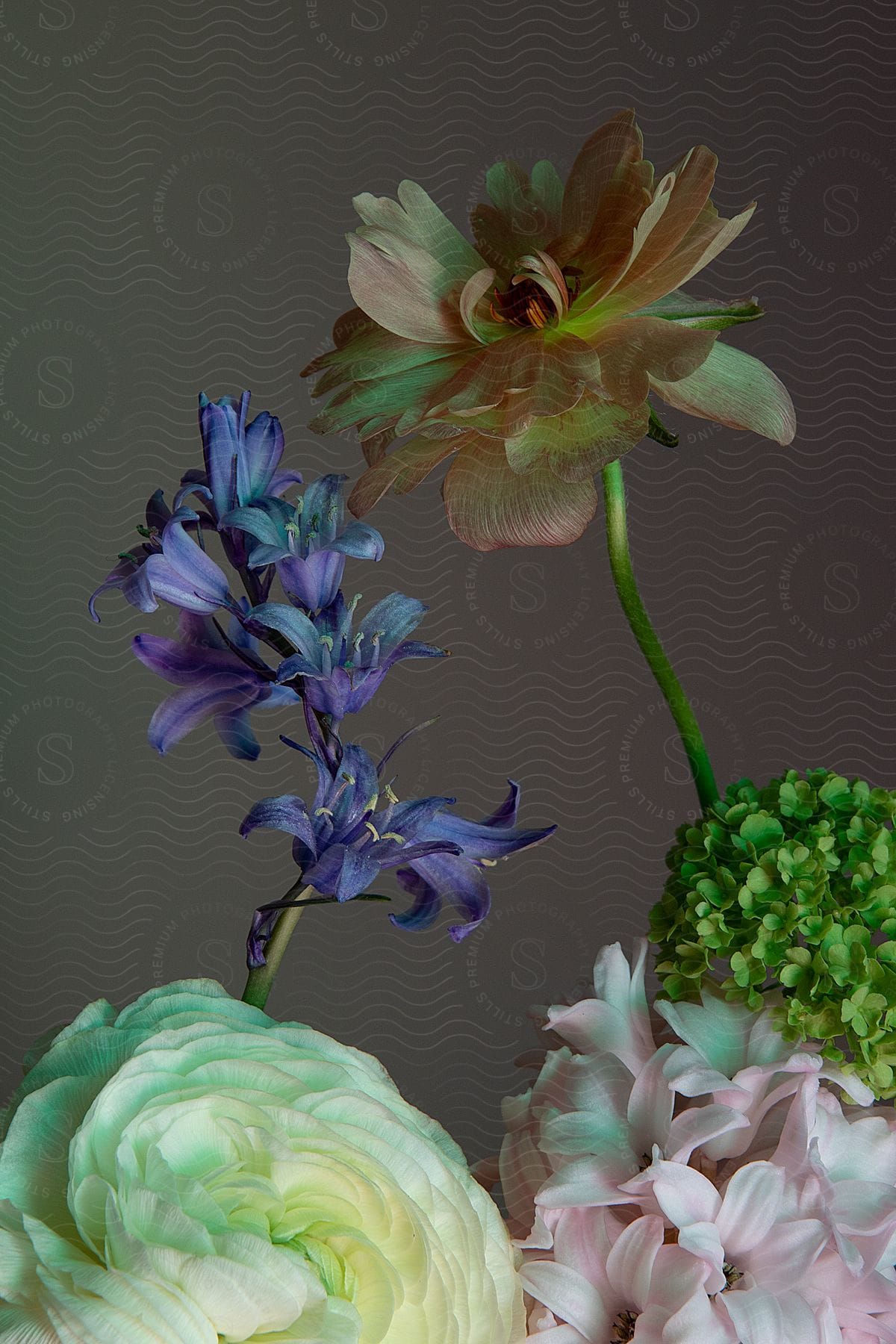 A muted brown backdrop accentuates the vibrant hues of an eclectic floral arrangement in this still life photograph.