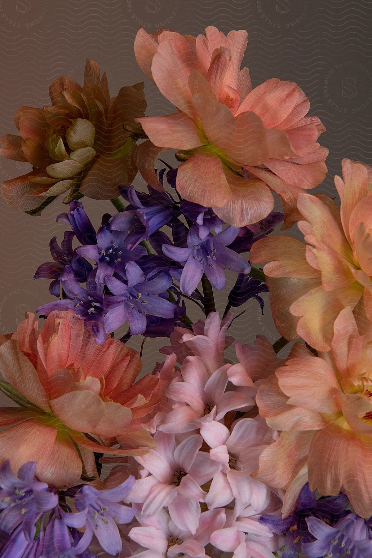 A bouquet of light orange, pink and purple flowers.