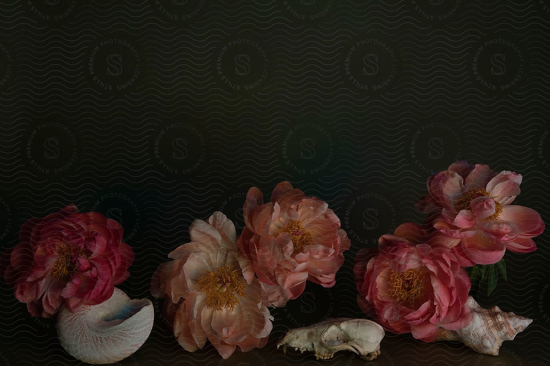 A studio image of an artificial flower