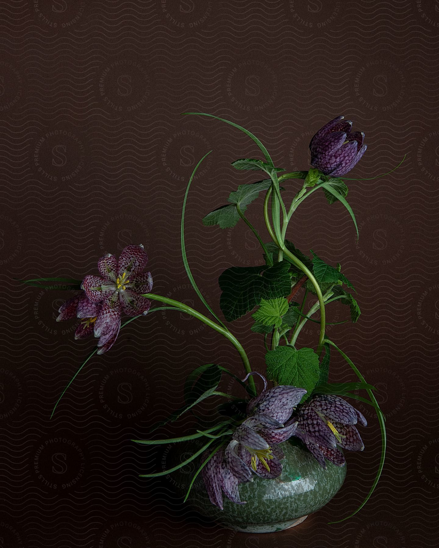 Passionate purple tulips in a vase with leaves stretching up