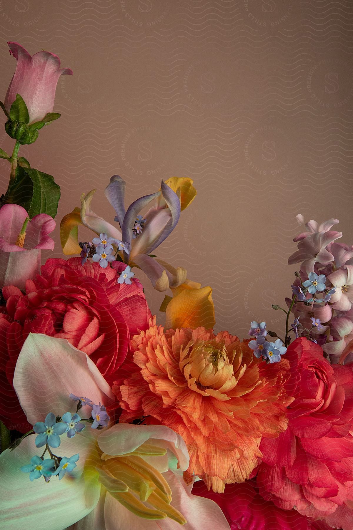 A colorful flower arrangement.