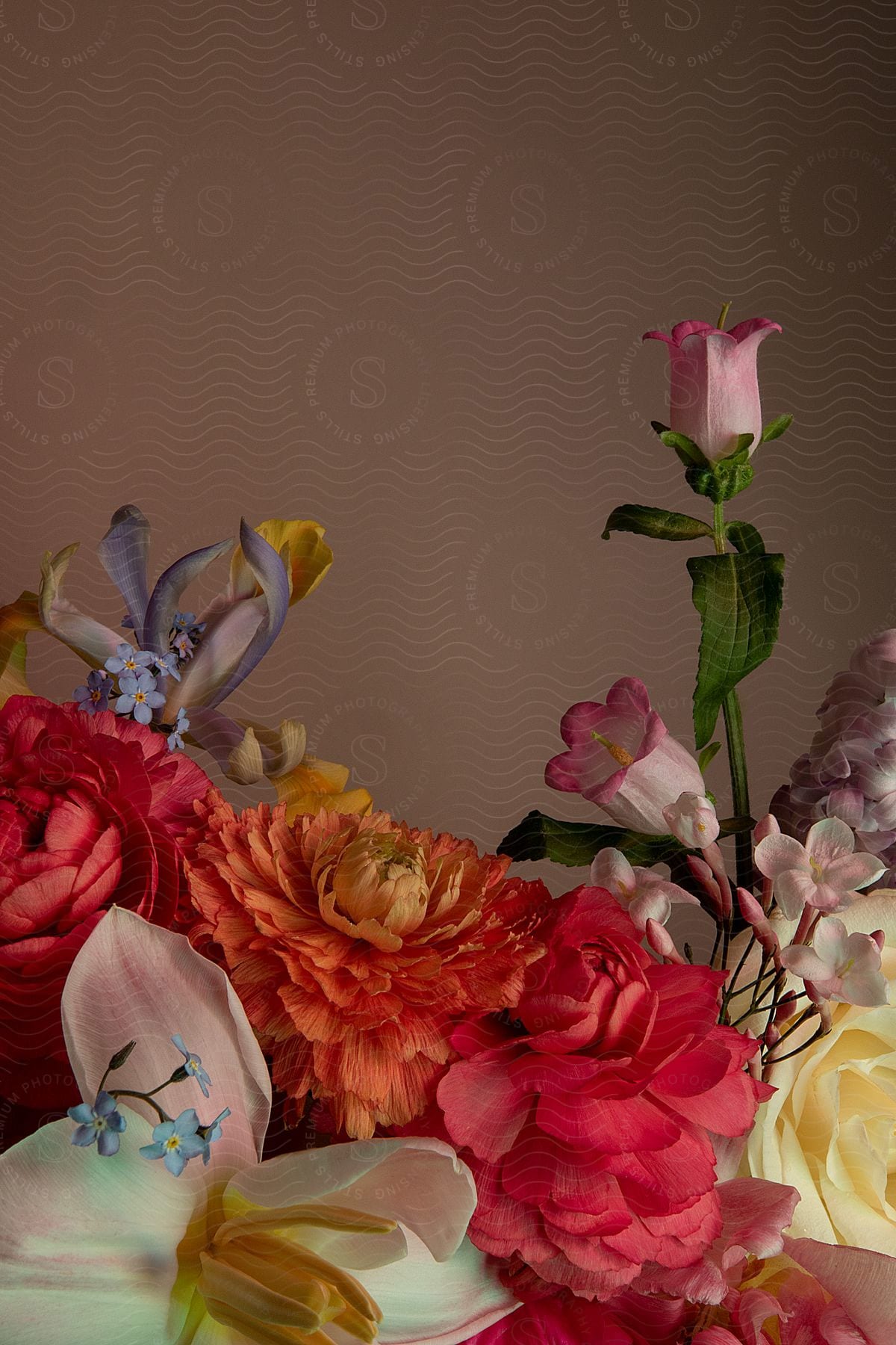 Variety of flowers with different colors and sizes against a soft blurred background.