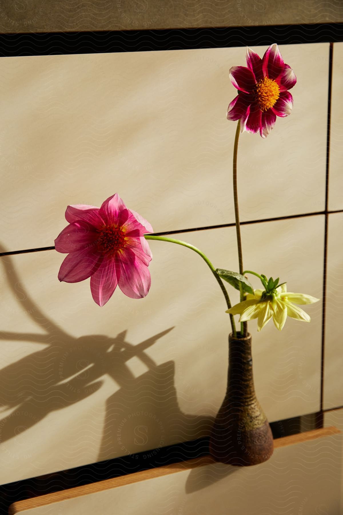 two dahlia flowers, one red and one pink, in a vase on a wooden dresser.