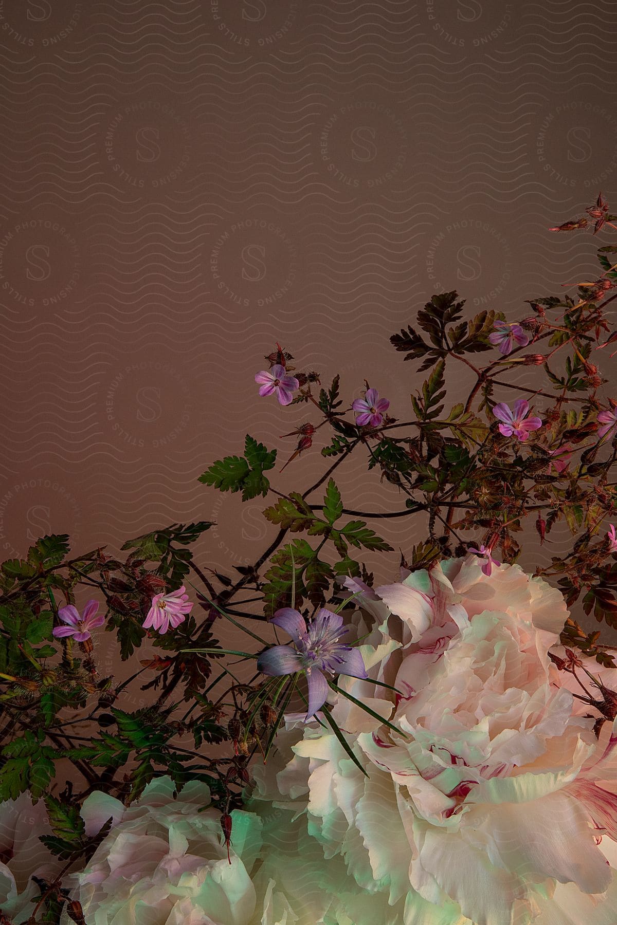 A bouquet of white, purple, and pink flowers against a brown background