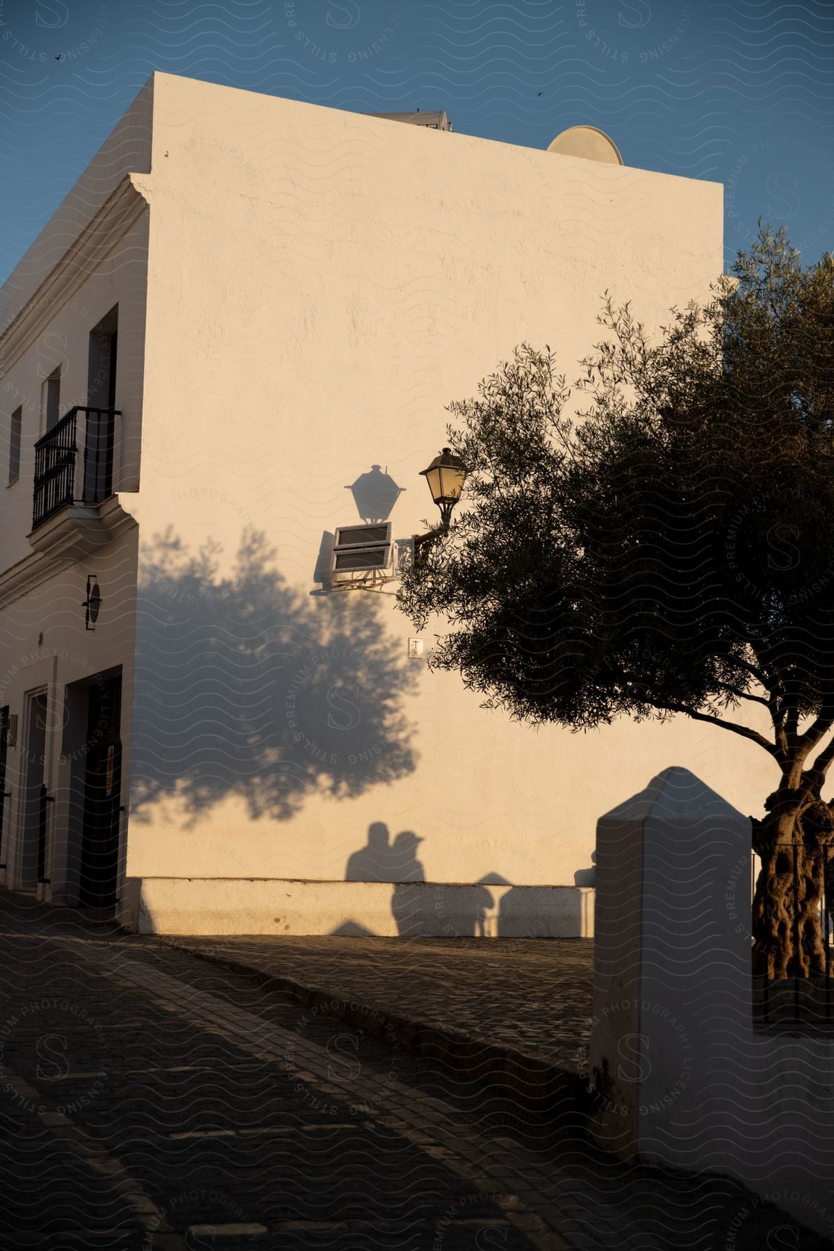 The shadow of a tree is cast on a white building's wall at dusk.