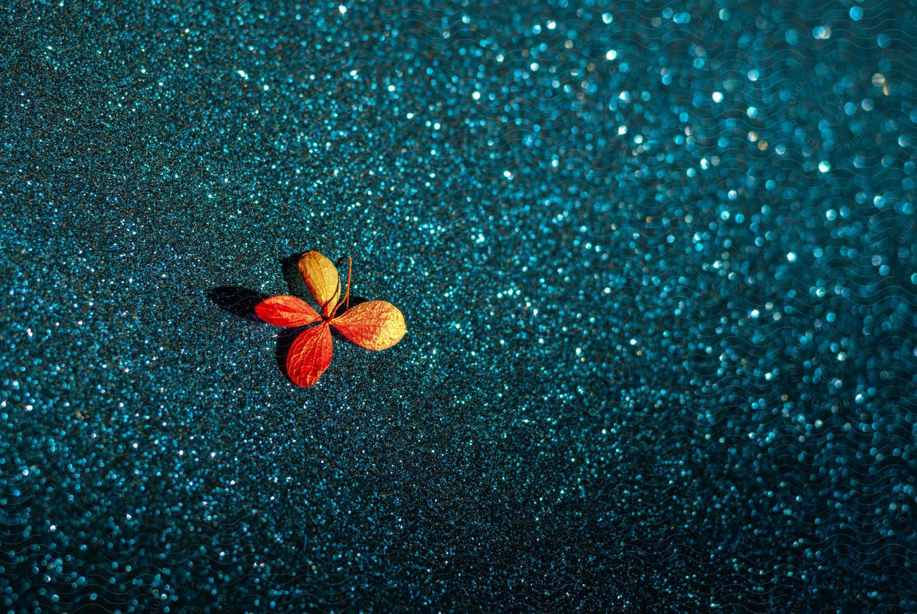 A single small red and orange flower lays on a glittery textured surface