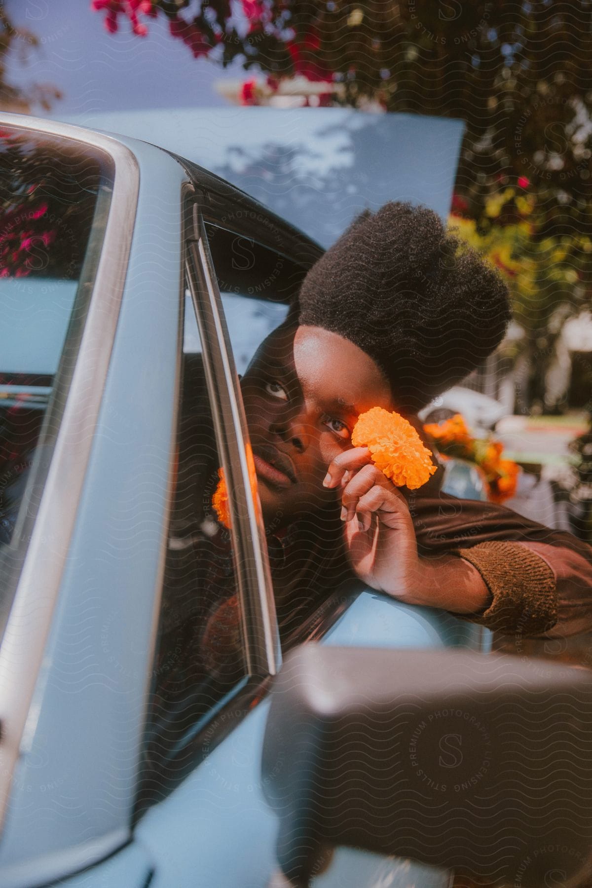 Person sticking their head out a car window while holding an orange flower