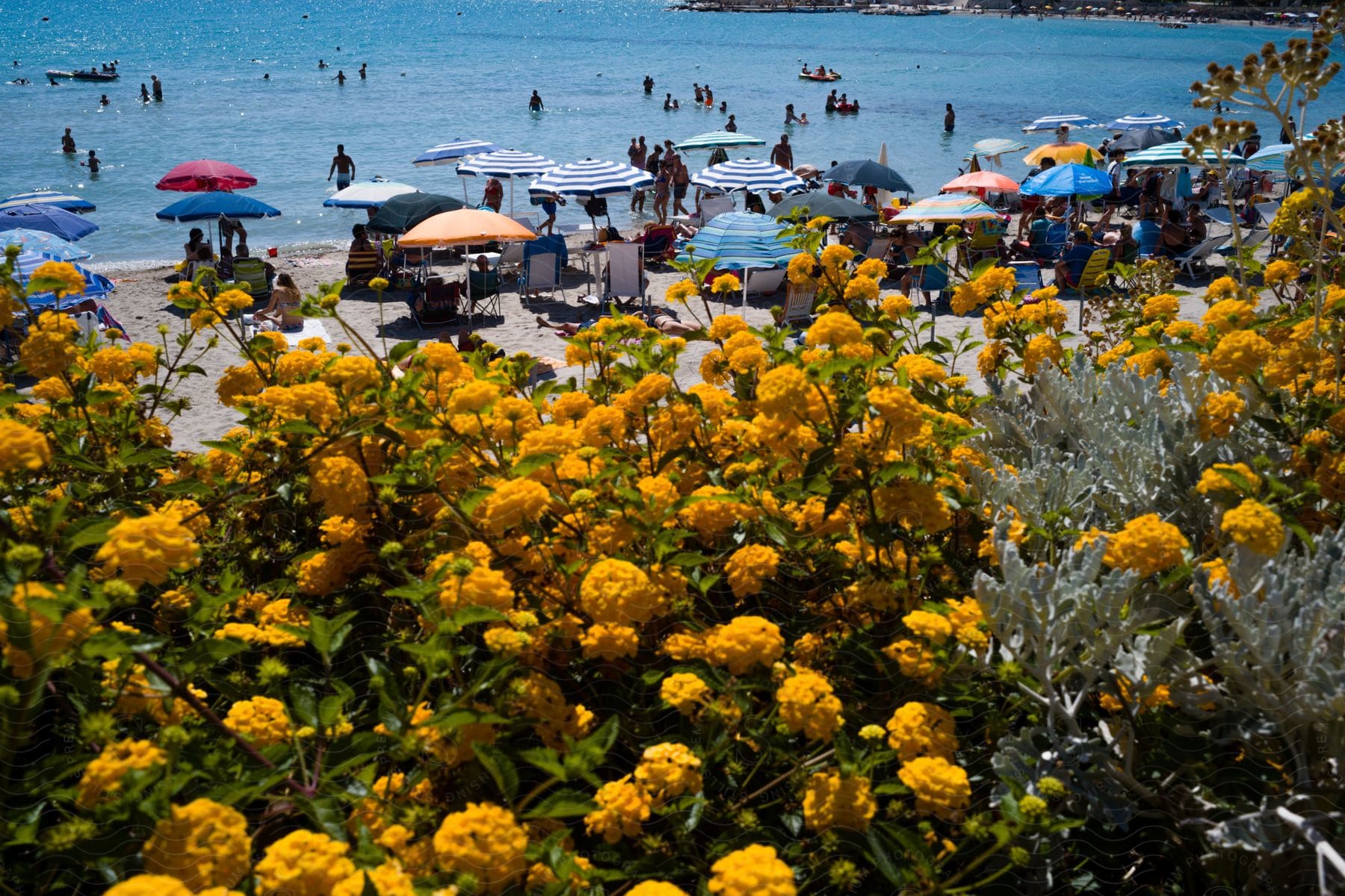 Joyful beach scene with people enjoying refreshing waters and basking in the sun