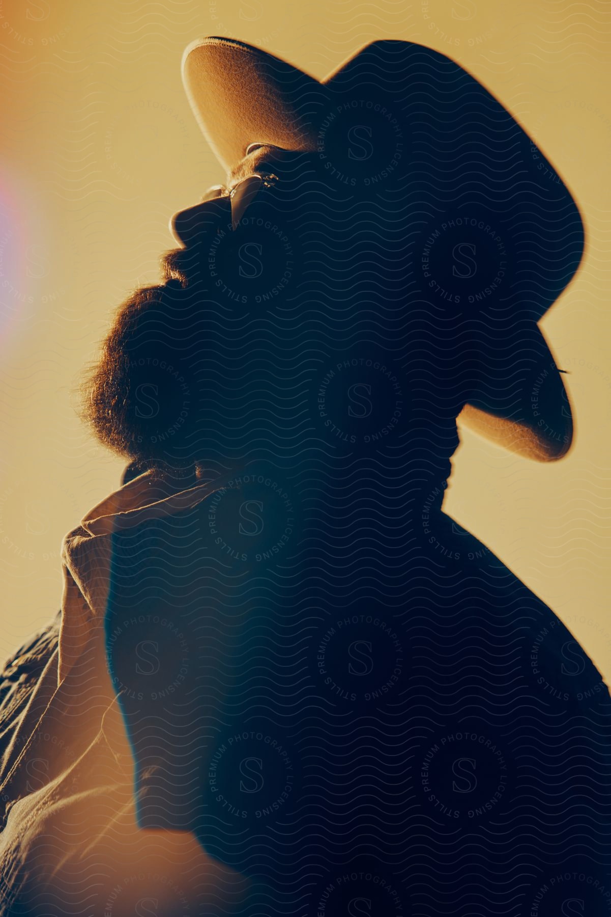 Silhouette of a bearded man wearing a hat at evening looking up