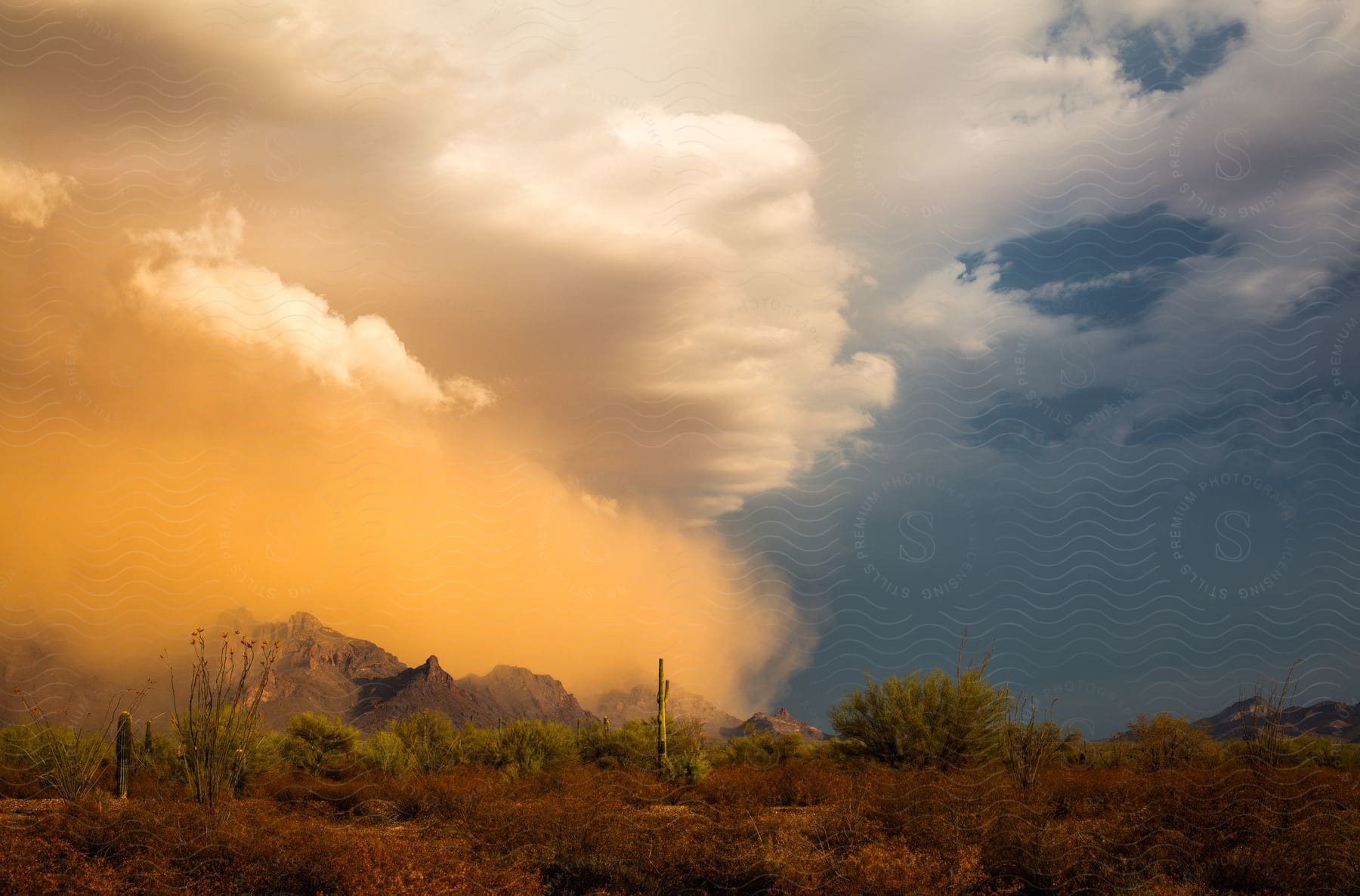 Dust clouds rising over a plain in southern arizona