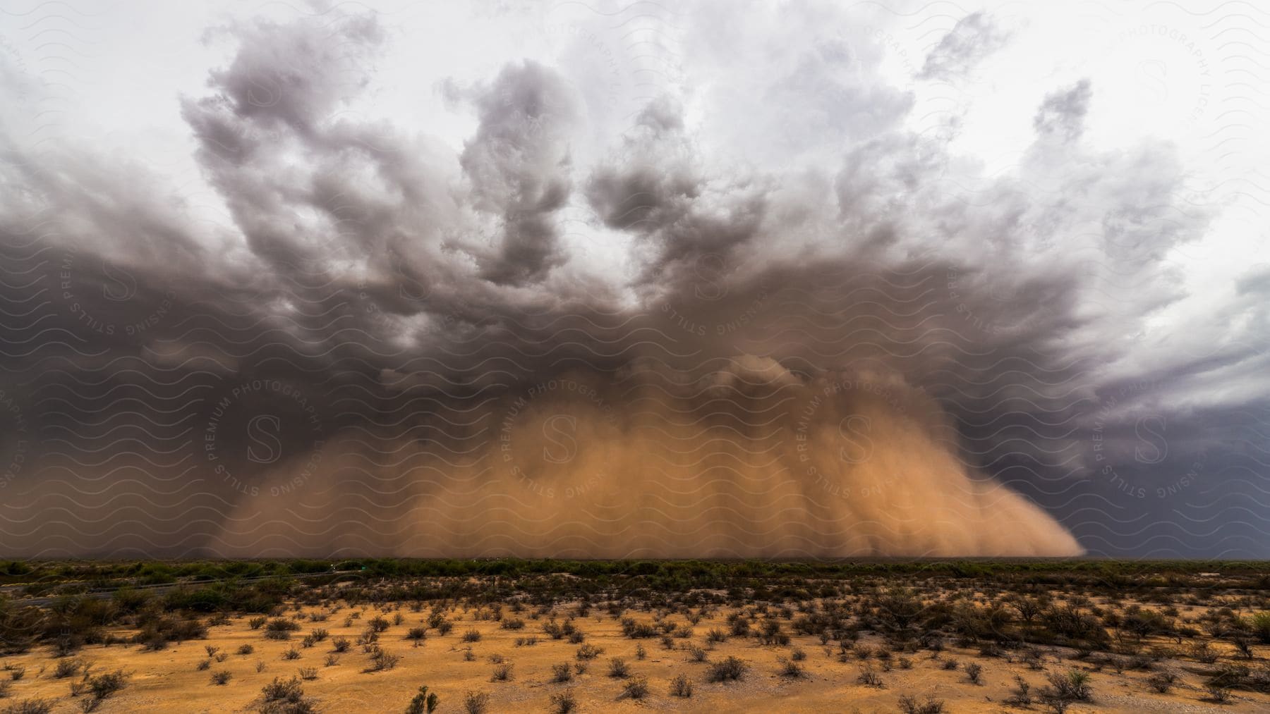 A massive haboob storm approaching vekol valley road along interstate 8 on july 9th