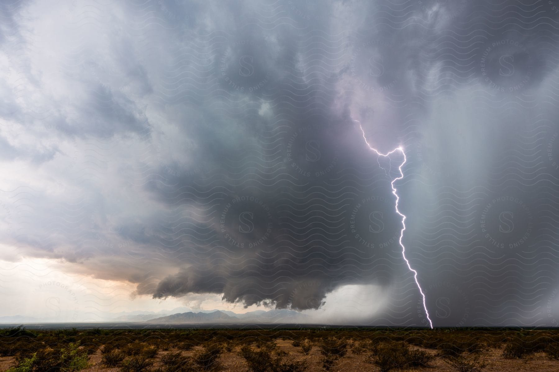 A bright lightning bolt strikes the desert ground from the stormy sky in arizona