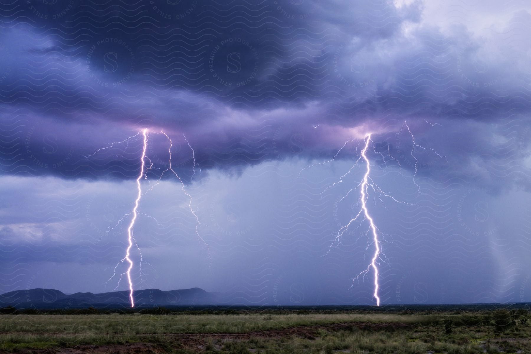 Twin lightning strikes grassland from purple and grey storm clouds against a screen of rain in the desert southwest