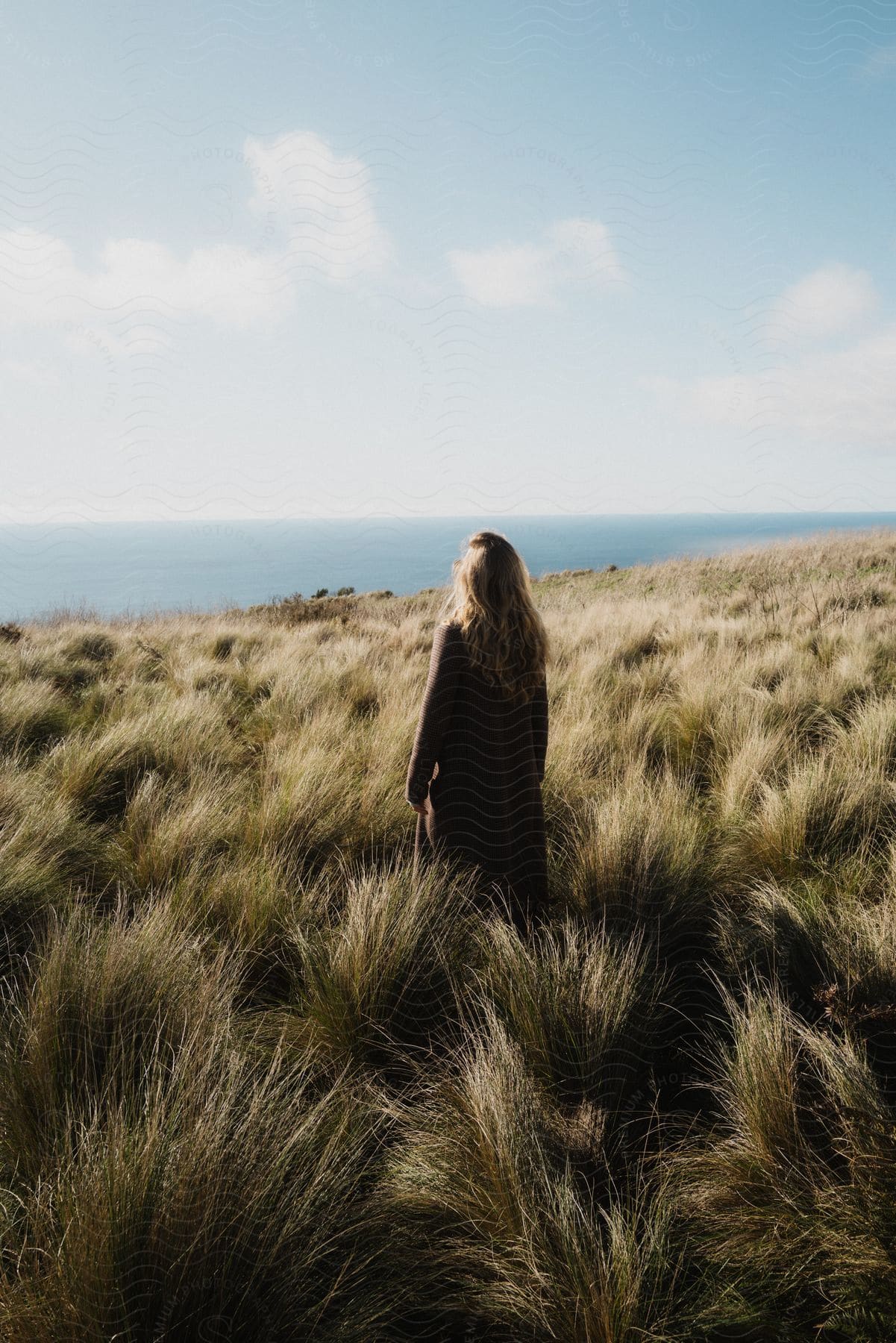 A woman standing on a grassy bank looks out at the ocean