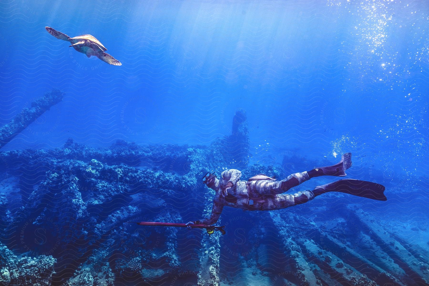 A person swimming near the ocean floor hawaii