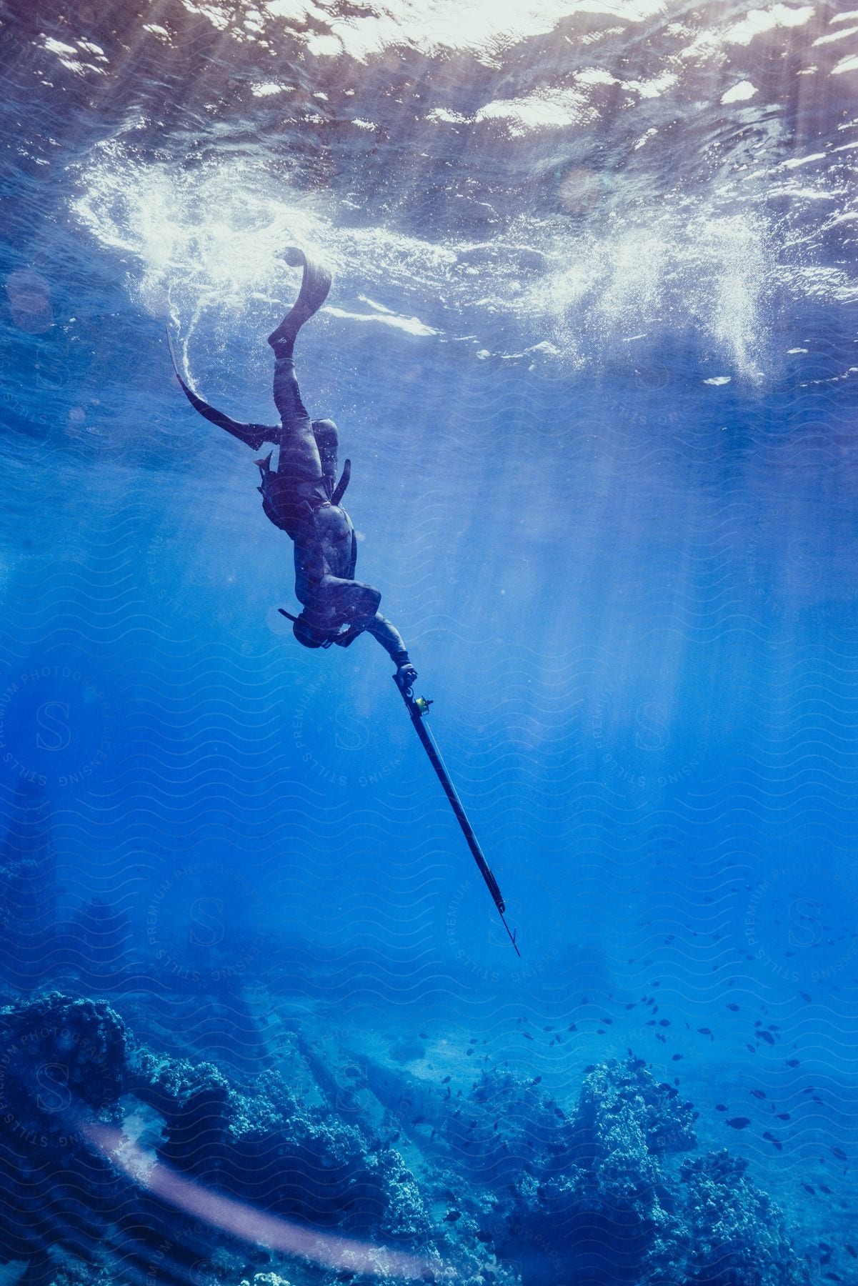 A scuba diver explores the ocean floor using a fishing tool with sunlight shining from above