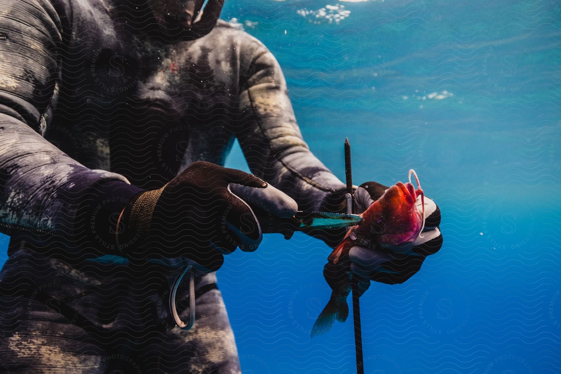 A man is underwater cutting a fish with a knife