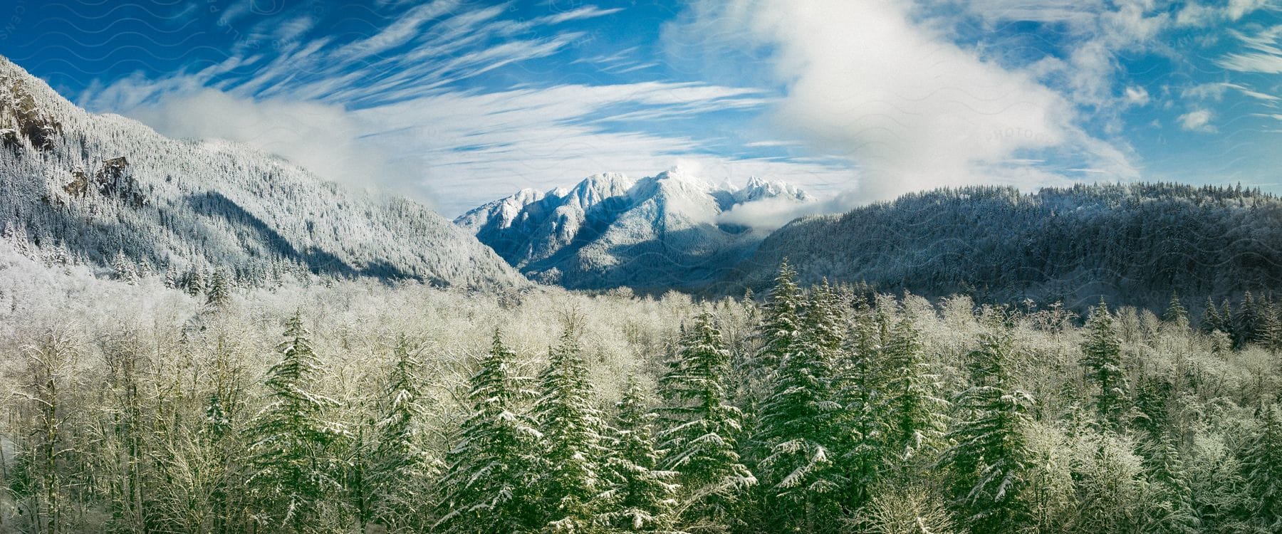 A serene landscape of green grasses under a vivid blue and white sky