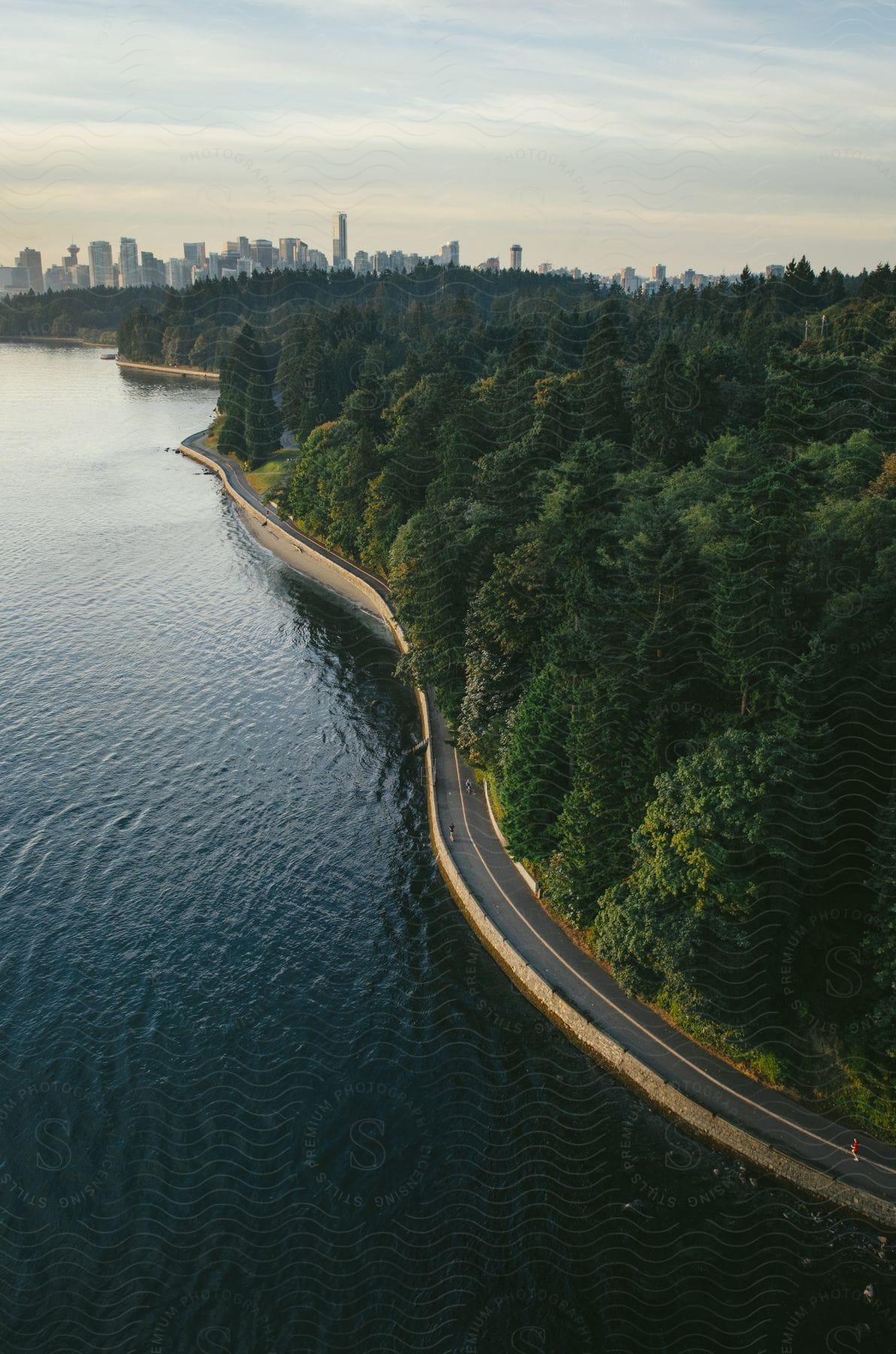 Forest landscape with a road along the sea with a city on the horizon