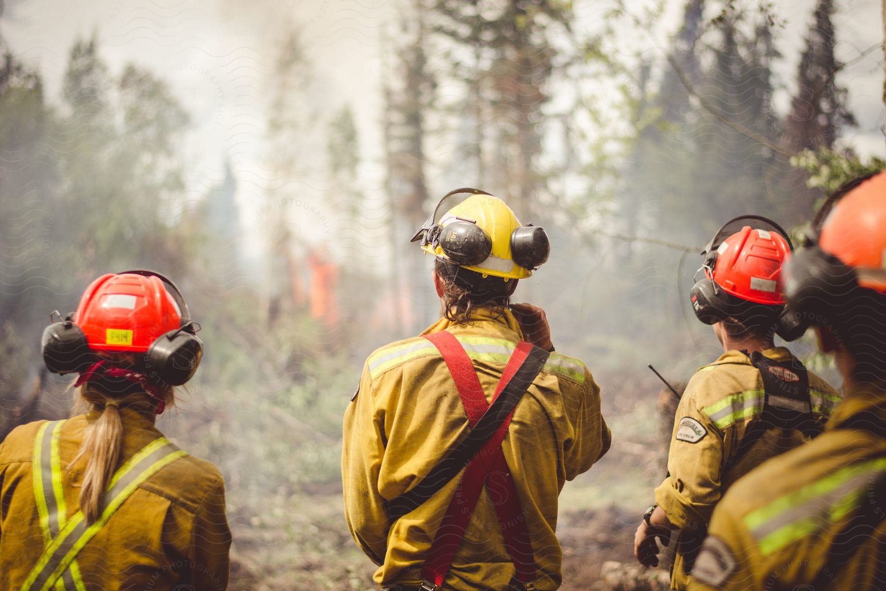 Four firefighters working in the forest