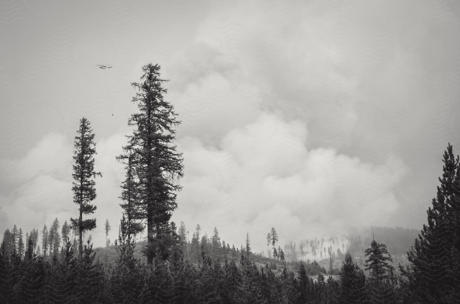 A helicopter flying through the forest in british columbia canada